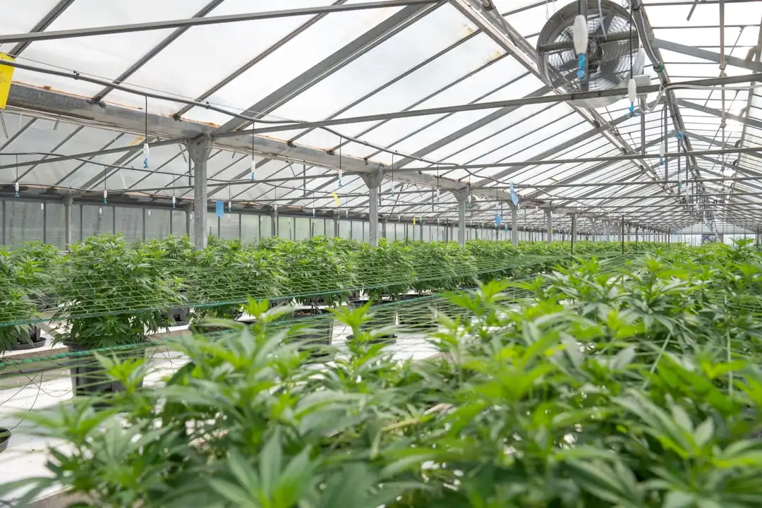 新型家居用品包装材料的技术突破与质量管控要点