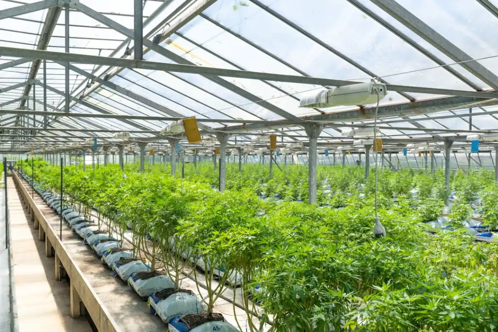 北京旸泰商贸有限公司日用百货批发规格与仓储物流优势解析